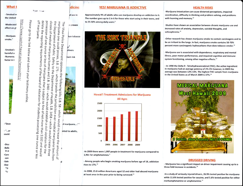 Click to view anti-MMJ flier