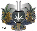 Logo_Transparent.gif