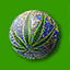 hemp_evo.jpg