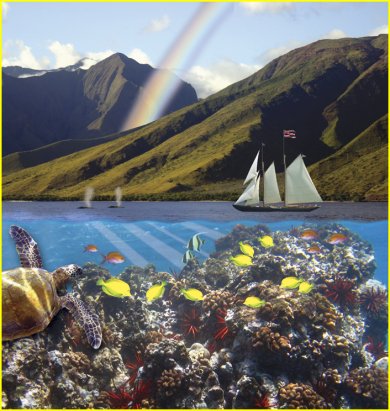 hitc-ocean300.jpg