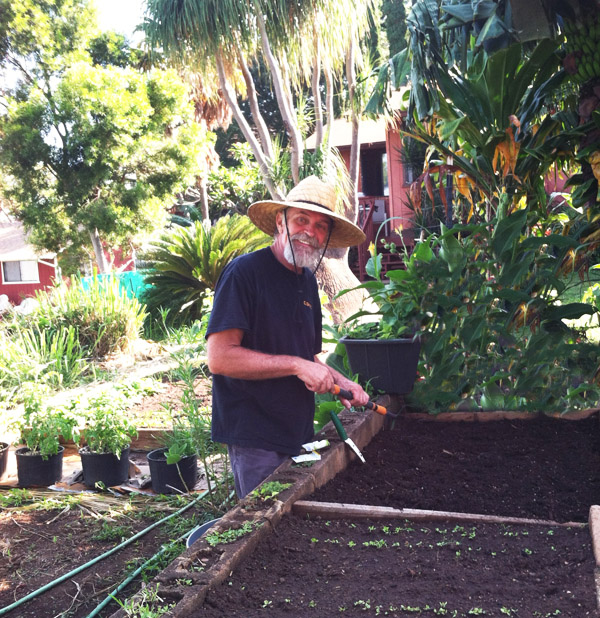 Brian Murphy, mmj Maui